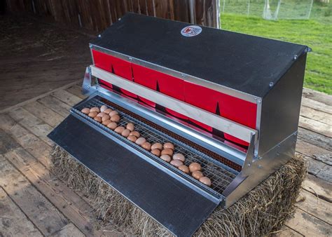 egg laying nest boxes